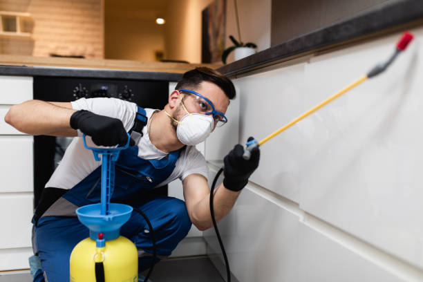 Reliable Appleton City, MO Pest Control Solutions