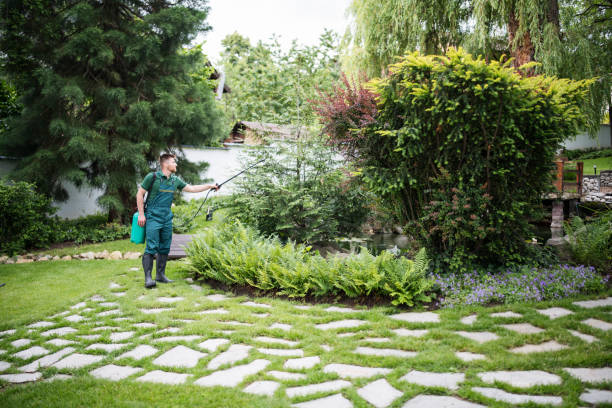 Best Pest Prevention Services  in Appleton City, MO