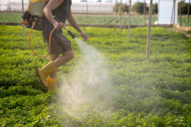 Best Pest Inspection Near Me  in Appleton City, MO