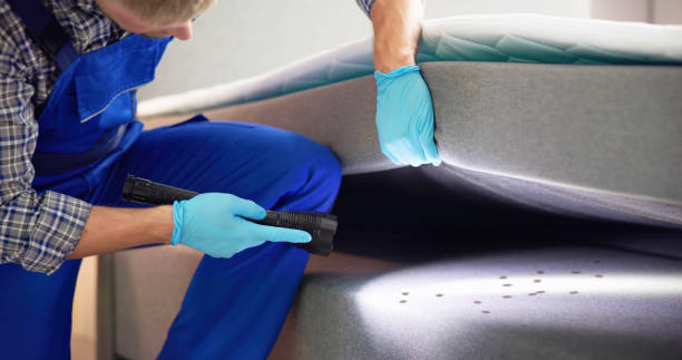 Best Exterminator Services  in Appleton City, MO
