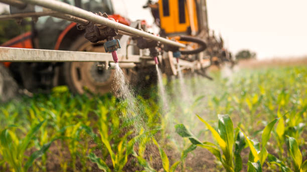 Pest Prevention Services in Appleton City, MO
