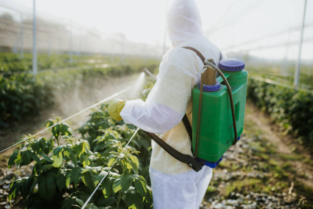 Best Insect Control  in Appleton City, MO
